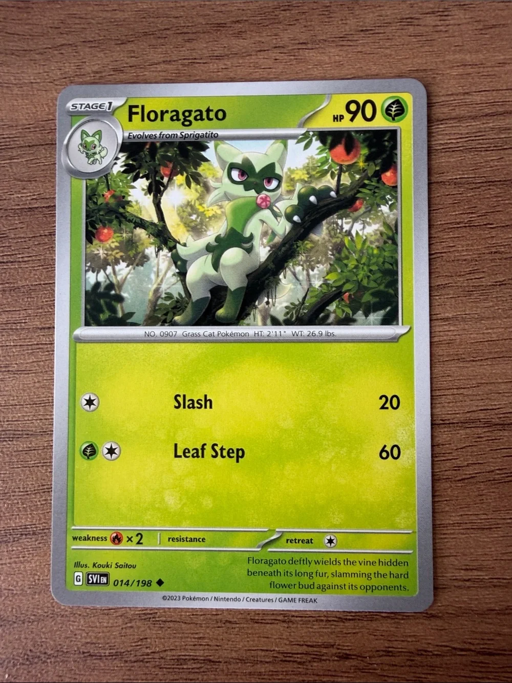 🐱 Cat Pokémon Card Lot | Sprigatito Perrserker Skitty Purugly ✨5/$25✨